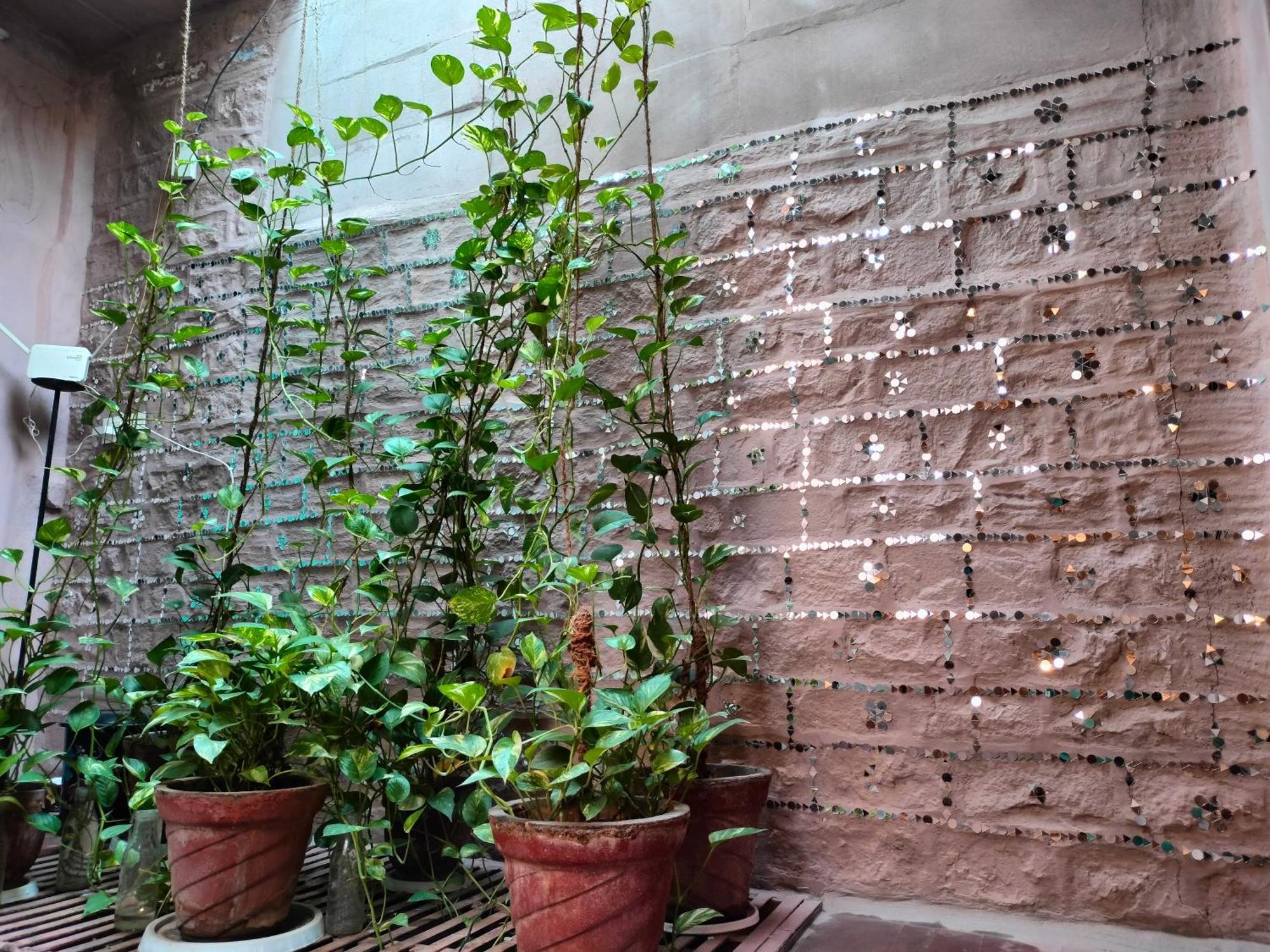 Casa De Jodhpur Hotel Dzsódhpur Kültér fotó